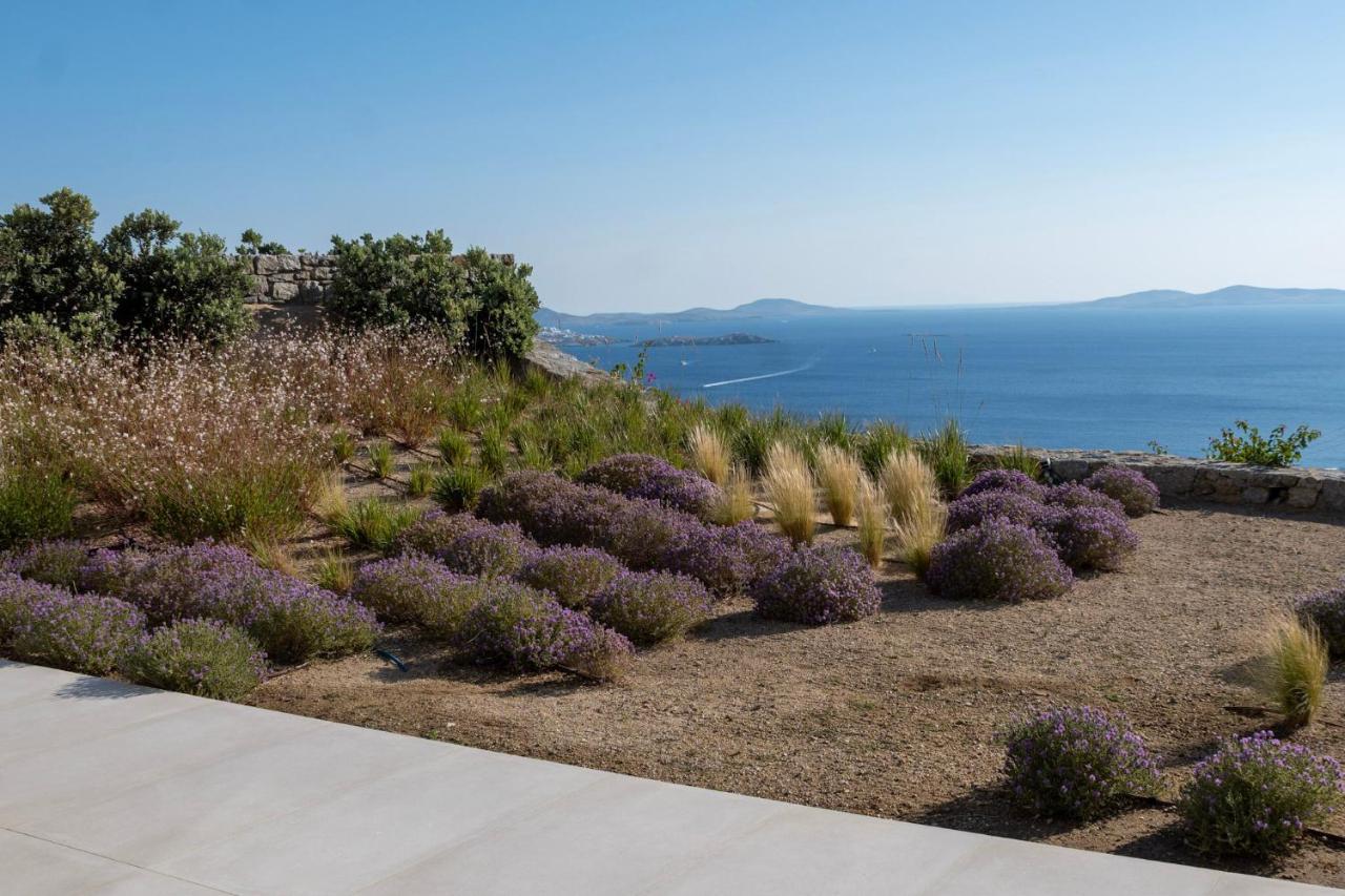 Zelia B&B & Villa Mykonos Town Eksteriør billede